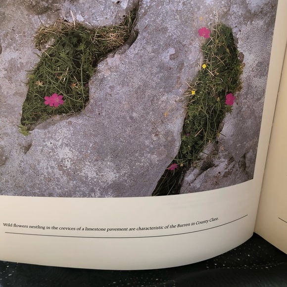 Hardcover IRELAND Through the Ages, Michael Jenner - Picture 6 of 13